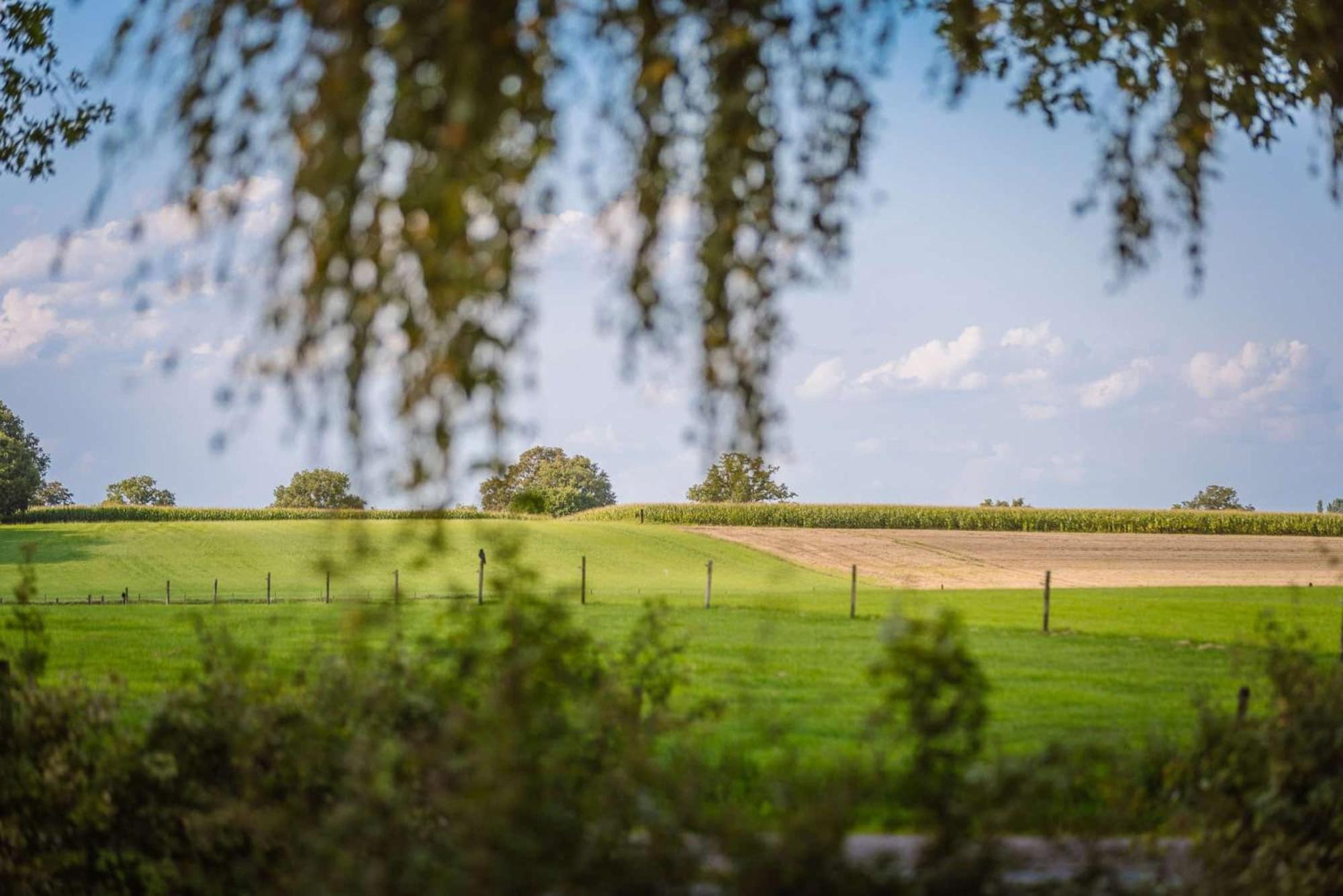 Zicht Op Twente - Spa Lodges Markelo Zewnętrze zdjęcie